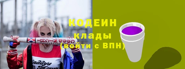 дмт Дмитриев