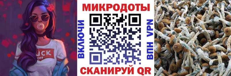 Псилоцибиновые грибы мицелий Нижняя Салда